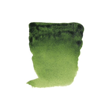 REMBRANDT ACQUERELLO 10 ml 623 SAP GREEN