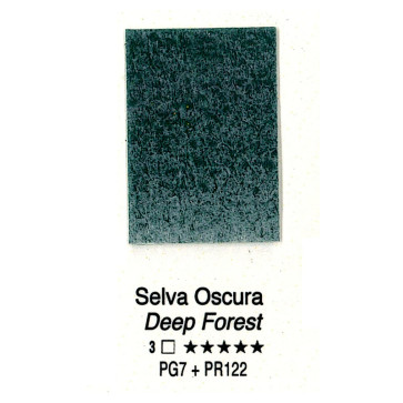 ACQUERELLO FORESTO ½ GODET SERIE 3 H62 SELVA OSCURA