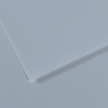 CARTONCINO MI-TEINTES 50X65cm 160 g/m² BLU ACCIAIO N. 182