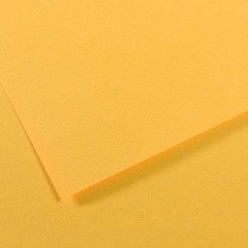 CARTONCINO MI-TEINTES 50X65cm 160 g/m² BOTTON D'ORO N. 400
