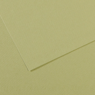 CARTONCINO MI-TEINTES 50X65cm 160 g/m² VERDE MANDORLA N. 480