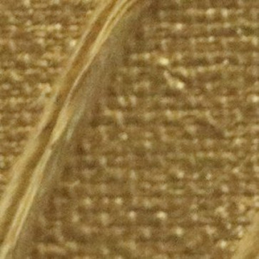 PEBEO STUDIO ACRYLICS ORIGIN 60 ml 41 GOLD