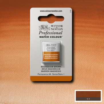 ACQUERELLO WINSOR 1/2 GODET MAGNESIUM BROWN 381 S1