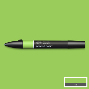PROMARKER WINSOR & NEWTON G528 LEAF GREEN