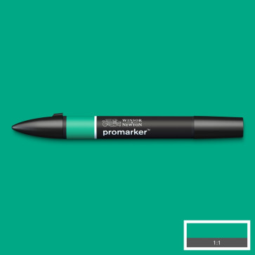 PROMARKER WINSOR & NEWTON G847 GREEN