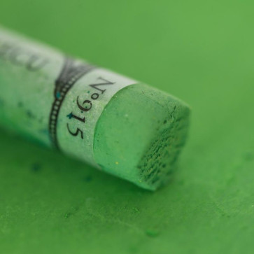 SENNELIER EXTRA SOFT PASTEL 915 FOREST GREEN N° 6