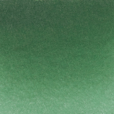 ACQUERELLO SCHMINKE HORADAM S1 521 HOOKER‘S GREEN 1/2 GODET