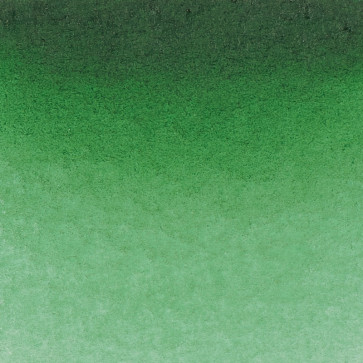 ACQUERELLO SCHMINKE HORADAM S2 534 PERM. GREEN OLIVE TUBO 15 ml