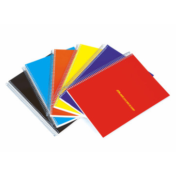 QUADERNO BLUEKOVER SPIRALE 5 SEZ. 100 PAG. 4 FORI QUADRETTI 5mm