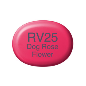 PENNARELLO COPIC SKETCH RV25 DOG ROSE FLOWER