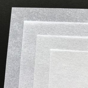 FOGLIO CARTA PERGAMENATA BIANCA A4 21X29,7 cm 230 g/m²