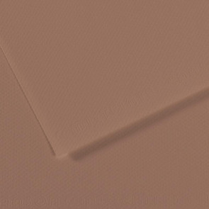 CARTONCINO MI-TEINTES 50X65cm 160 g/m² BRUNO CASTANO N. 188