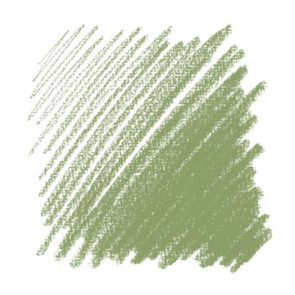MATITA PASTELLO CONTE A PARIS 1355 GREY GREEN 051