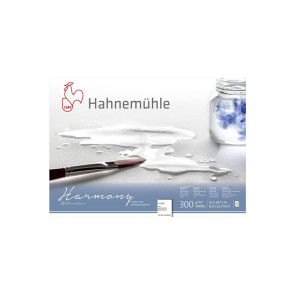 BLOCCO HAHNEMUHLE HARMONY A4 GRANA GROSSA 20 FF 300 g/m²