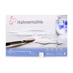 BLOCCO HAHNEMUHLE HARMONY A3 GRANA GROSSA 20 FF 300 g/m²