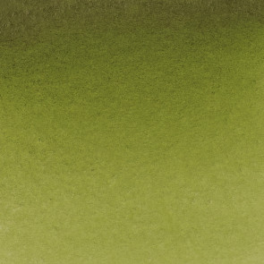 ACQUERELLO SCHMINKE HORADAM S2 525 OLIVE GREEN YELL. 1/2 GODET
